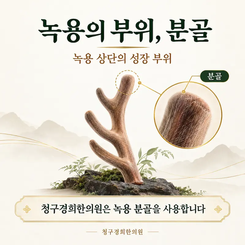 녹용의 부위, 분골