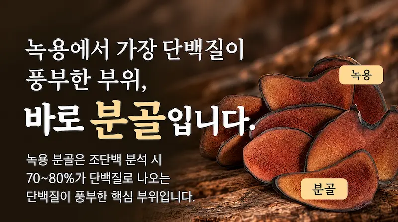 분골파쇄전탕2-1