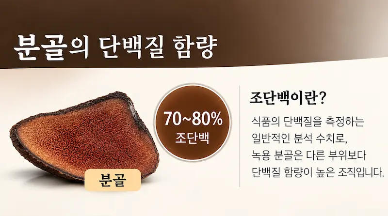 분골파쇄전탕2-2